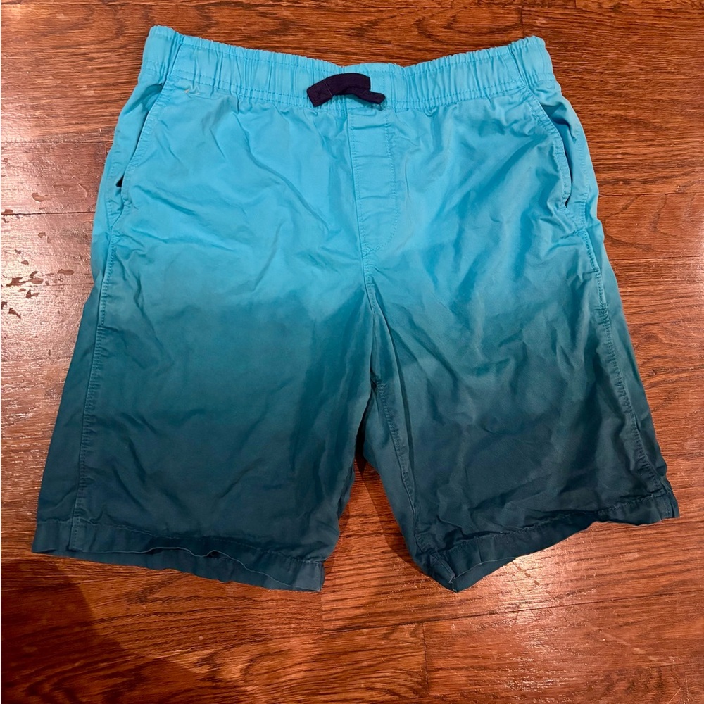 Lands' End Teal / Blue Swim Shorts